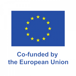 Co-funded by the European Union